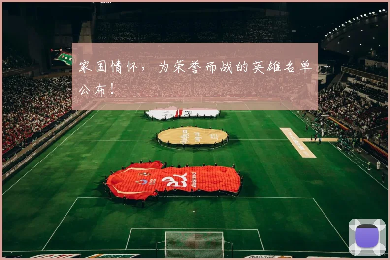 家国情怀,为荣誉而战的英雄名单公布!